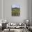 Vineyard, Chianti, Italy-Rob Tilley-Photographic Print displayed on a wall