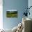 Vineyard, Chinon, Indre Et Loire, Centre, France, Europe-Nathalie Cuvelier-Photographic Print displayed on a wall
