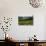 Vineyard, Chinon, Indre Et Loire, Centre, France, Europe-Nathalie Cuvelier-Photographic Print displayed on a wall