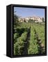 Vineyard, Cote Du Rhone, Sablet, Vaucluse, Provence, France-John Miller-Framed Stretched Canvas