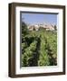 Vineyard, Cote Du Rhone, Sablet, Vaucluse, Provence, France-John Miller-Framed Photographic Print