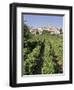 Vineyard, Cote Du Rhone, Sablet, Vaucluse, Provence, France-John Miller-Framed Photographic Print