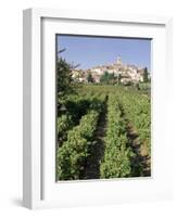 Vineyard, Cote Du Rhone, Sablet, Vaucluse, Provence, France-John Miller-Framed Photographic Print