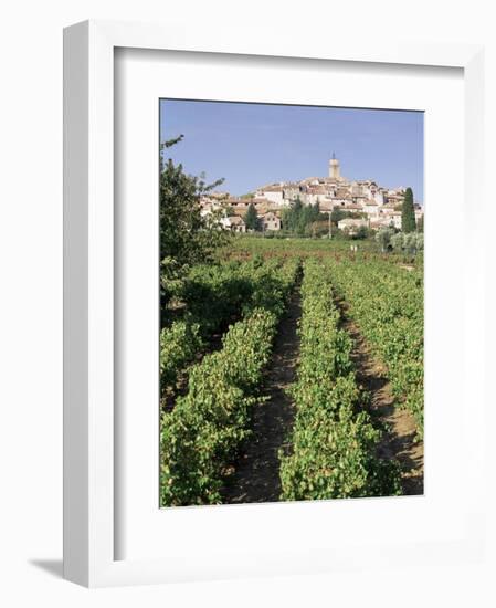 Vineyard, Cote Du Rhone, Sablet, Vaucluse, Provence, France-John Miller-Framed Photographic Print