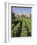 Vineyard, Cote Du Rhone, Sablet, Vaucluse, Provence, France-John Miller-Framed Photographic Print