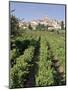 Vineyard, Cote Du Rhone, Sablet, Vaucluse, Provence, France-John Miller-Mounted Photographic Print