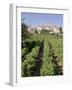 Vineyard, Cote Du Rhone, Sablet, Vaucluse, Provence, France-John Miller-Framed Photographic Print