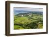 Vineyard Countryside Surrounding Kozana, Goriska Brda (Gorizia Hills), Slovenia, Europe-Matthew Williams-Ellis-Framed Photographic Print