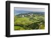 Vineyard Countryside Surrounding Kozana, Goriska Brda (Gorizia Hills), Slovenia, Europe-Matthew Williams-Ellis-Framed Photographic Print