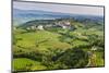 Vineyard Countryside Surrounding Kozana, Goriska Brda (Gorizia Hills), Slovenia, Europe-Matthew Williams-Ellis-Mounted Photographic Print