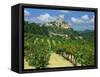 Vineyard, Entrechaux, Vaucluse, France-Duncan Maxwell-Framed Stretched Canvas