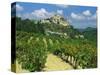 Vineyard, Entrechaux, Vaucluse, France-Duncan Maxwell-Stretched Canvas