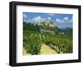 Vineyard, Entrechaux, Vaucluse, France-Duncan Maxwell-Framed Photographic Print