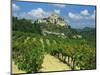 Vineyard, Entrechaux, Vaucluse, France-Duncan Maxwell-Mounted Photographic Print