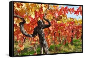 Vineyard Fall Colors-Lantern Press-Framed Stretched Canvas