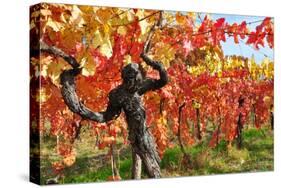 Vineyard Fall Colors-Lantern Press-Stretched Canvas