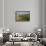 Vineyard Field and Olive Grove in Spain-Julianne Eggers-Framed Photographic Print displayed on a wall