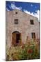 Vineyard, Gibbston Valley, Near Queenstown, Otago, South Island, New Zealand-David Wall-Mounted Photographic Print