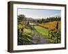 Vineyard, Havelock North, Hawke's Bay, North Island, New Zealand, Pacific-Jochen Schlenker-Framed Photographic Print