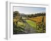 Vineyard, Havelock North, Hawke's Bay, North Island, New Zealand, Pacific-Jochen Schlenker-Framed Photographic Print