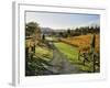 Vineyard, Havelock North, Hawke's Bay, North Island, New Zealand, Pacific-Jochen Schlenker-Framed Photographic Print