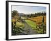 Vineyard, Havelock North, Hawke's Bay, North Island, New Zealand, Pacific-Jochen Schlenker-Framed Photographic Print