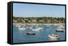 Vineyard Haven Harbor-Guido Cozzi-Framed Stretched Canvas