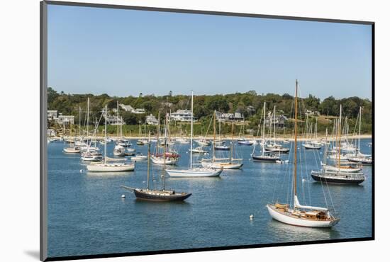 Vineyard Haven Harbor-Guido Cozzi-Mounted Photographic Print