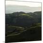 Vineyard Hills-Lance Kuehne-Mounted Photographic Print