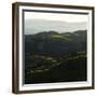 Vineyard Hills-Lance Kuehne-Framed Photographic Print