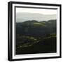 Vineyard Hills-Lance Kuehne-Framed Photographic Print