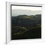 Vineyard Hills-Lance Kuehne-Framed Photographic Print