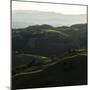 Vineyard Hills-Lance Kuehne-Mounted Photographic Print