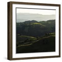 Vineyard Hills-Lance Kuehne-Framed Photographic Print