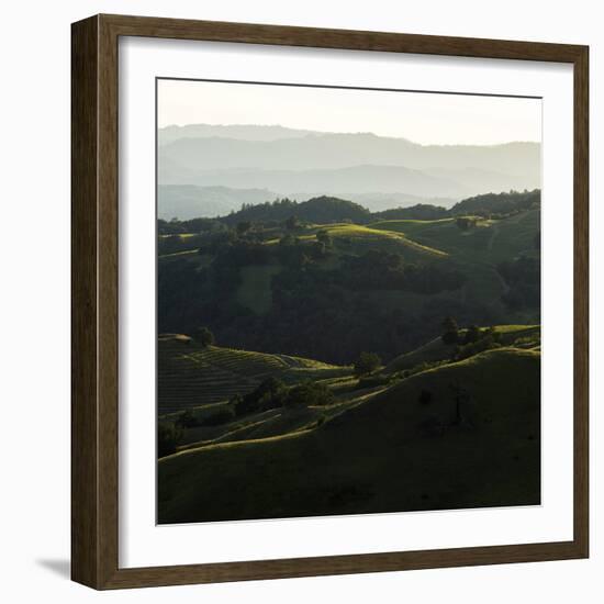 Vineyard Hills-Lance Kuehne-Framed Photographic Print