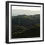 Vineyard Hills-Lance Kuehne-Framed Photographic Print