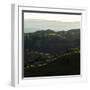 Vineyard Hills-Lance Kuehne-Framed Photographic Print