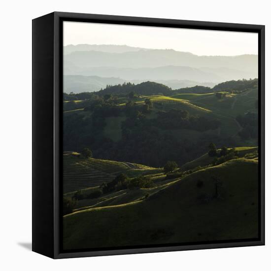 Vineyard Hills-Lance Kuehne-Framed Stretched Canvas