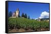 Vineyard, Hunawihr, Upper Alsace, France-Guy Thouvenin-Framed Stretched Canvas