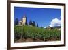 Vineyard, Hunawihr, Upper Alsace, France-Guy Thouvenin-Framed Photographic Print