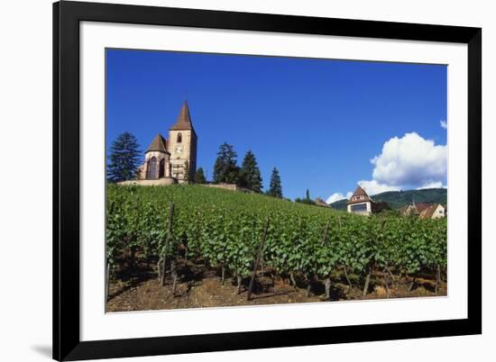 Vineyard, Hunawihr, Upper Alsace, France-Guy Thouvenin-Framed Photographic Print