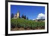 Vineyard, Hunawihr, Upper Alsace, France-Guy Thouvenin-Framed Photographic Print