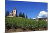 Vineyard, Hunawihr, Upper Alsace, France-Guy Thouvenin-Mounted Photographic Print