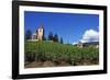 Vineyard, Hunawihr, Upper Alsace, France-Guy Thouvenin-Framed Photographic Print