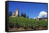 Vineyard, Hunawihr, Upper Alsace, France-Guy Thouvenin-Framed Stretched Canvas