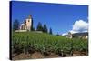 Vineyard, Hunawihr, Upper Alsace, France-Guy Thouvenin-Stretched Canvas