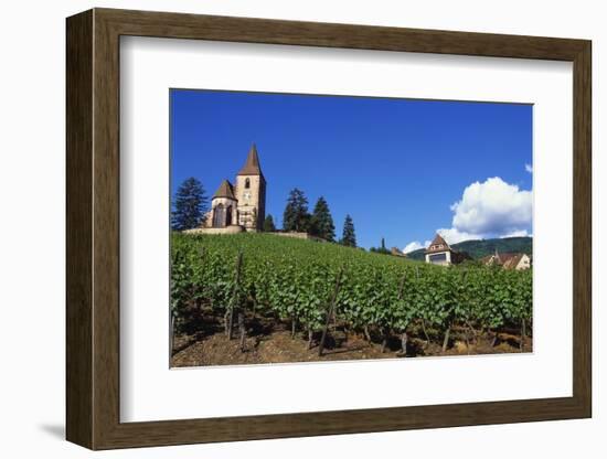 Vineyard, Hunawihr, Upper Alsace, France-Guy Thouvenin-Framed Photographic Print