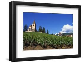 Vineyard, Hunawihr, Upper Alsace, France-Guy Thouvenin-Framed Photographic Print