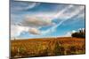 Vineyard in autumn, Italy-George and Marilu Theodore-Mounted Photographic Print