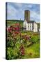 Vineyard in Front of the Bruemserburg in Ruedesheim (Rudesheim) on the River Rhine-Michael Runkel-Stretched Canvas